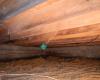 Indiana Crawl Space Repair