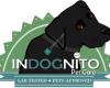 InDogNito Pet Care