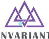 Invariant Construction Consultants
