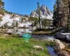 Inyo National Forest