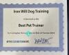 Iron Will Dog Training