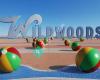 Island Realty Group - Wildwood Real Estate