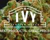 Ivy Cannabis