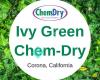 Ivy Green Chem-Dry