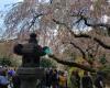 Japanese Hill-and-Pond Garden