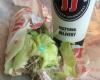 Jimmy John's