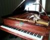 Joseph Luthold's Piano Tuning Service