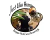 Just Like Home Doggie Hotel and Grooming 