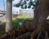 Kalihi Waena On-leash Dog Park