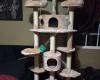 Kitty Mansions