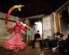 La Candela Company - Flamenco & Latin Entertainment