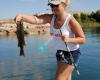 Lake Mead Fishing Guide