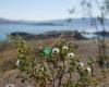 Lake Mead National Recreation Area