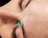 Lash Art - Professional Lash Extensions