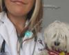 Liberty Vet Pets - Veterinary Hospital & Home Visit Services