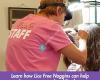 Lice Free Noggins