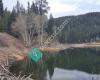 Lily Lake Picnic Site