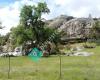 Los Padres National Forest - Nacimiento Station