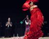 LS Flamenco
