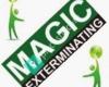 Magic Exterminating