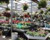 Mahoney's Garden Centers