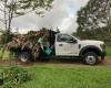 Malama Tree Care