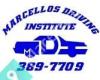 Marcello's Driving Institute