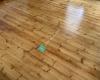 Mass Hardwood Floor