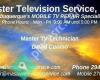 Master Television Service