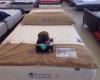 Mattress and More Liquidators