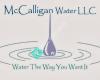 Mc Calligan Water Treatment