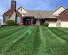 McDougal & Sons Lawn Care