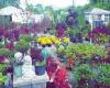 Merlino's Bushel Center, Nursery & Landscaping