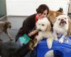 Metro Dogs Daycare & Boarding