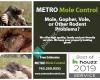 Metro Mole Control