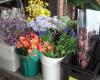 Middle Atlantic Wholesale Florist