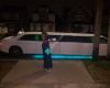 Mondrion Limousine