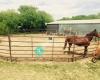 Moonshine Stables and Riding Academy