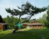 Morgan Bay Zendo