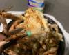 Moruss Seafood & Crab House