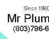 Mr Plumber