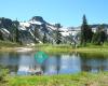 Mt. Baker Ski Area