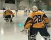 Nashoba Valley Olympia Rink