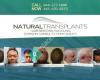 Natural Transplants, Hair Restoration Clinic