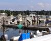 Nauset Marine East - Marina