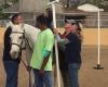 NDR Therapeutic Riding