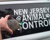 New Jersey Animal Control