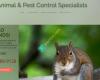 New Jersey Animal & Pest Control Specialist