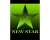 New Star Landscaping & Construction