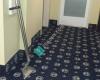 Nice Pro Carpet Cleaning